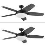 48 Honeywell Carmel Ceiling Fan with Integrated Light and Remote