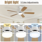 48 and 52 Integrated LED Ceiling Fan with Light and Remote, Reversible DC Motor