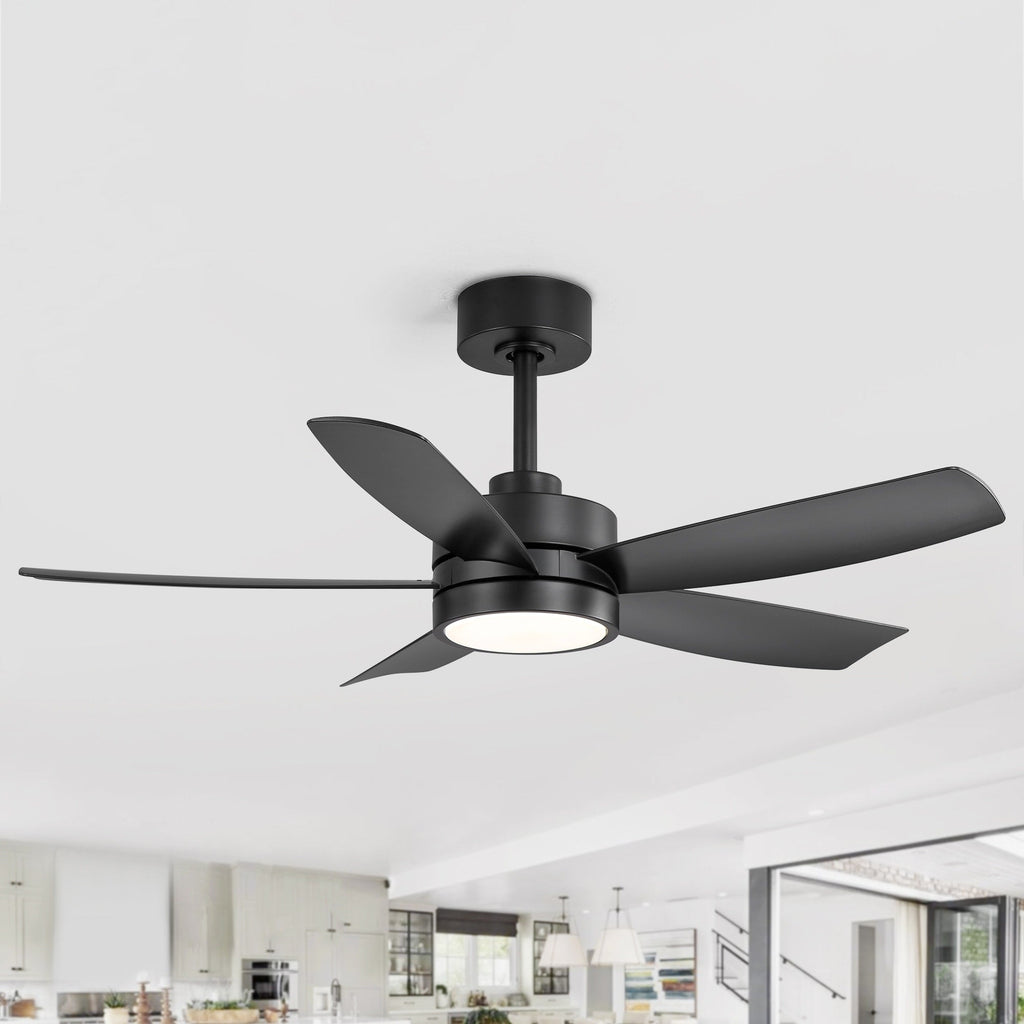 Breezary 65/52/42 5-Blade LED Ceiling Fan with Light Kit and Remote