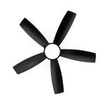 Breezary 65/52/42 5-Blade LED Ceiling Fan with Light Kit and Remote