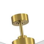 Breezary 65/52/42 5-Blade LED Ceiling Fan with Light Kit and Remote