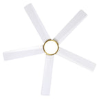 Breezary 65/52/42 5-Blade LED Ceiling Fan with Light Kit and Remote