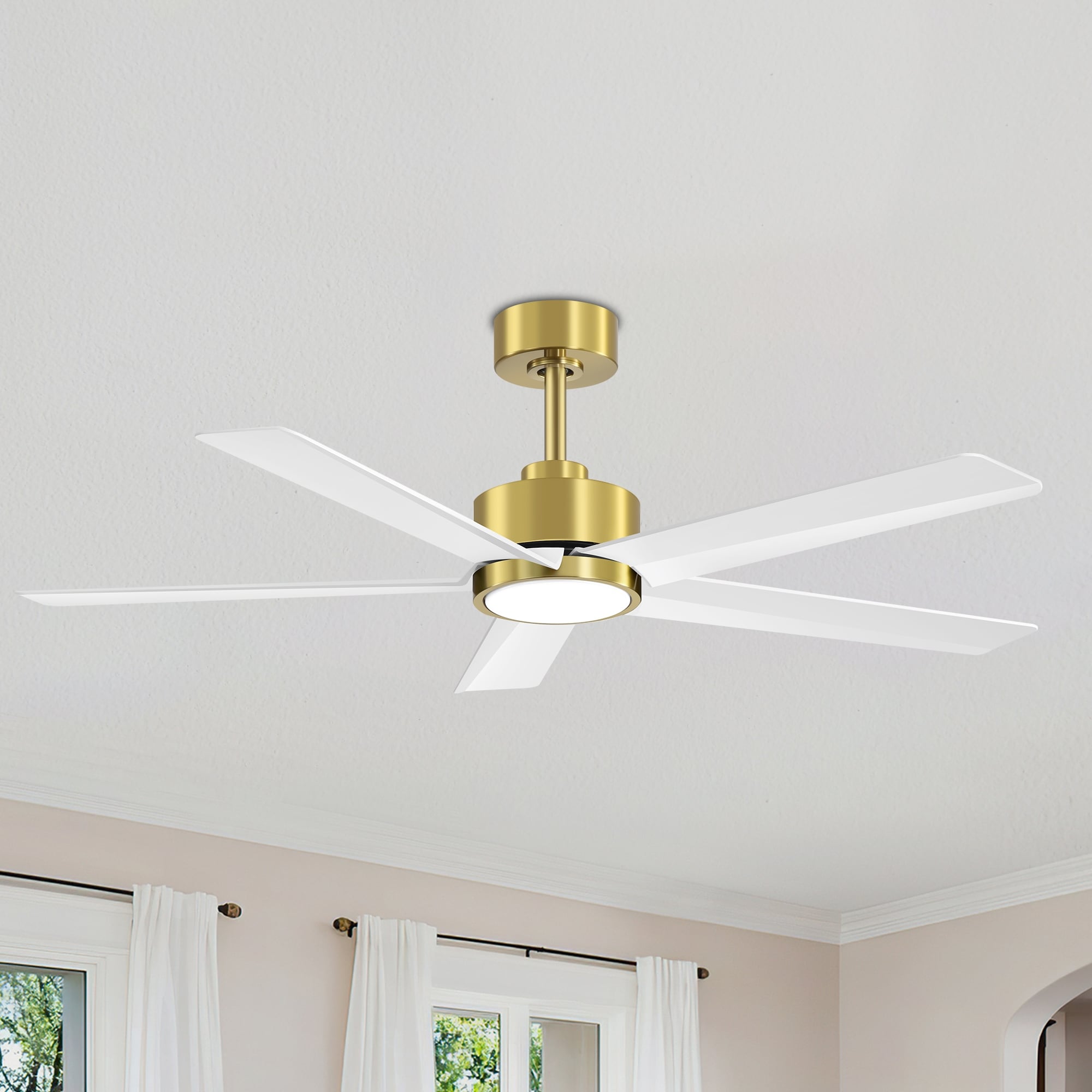 Breezary 65/52/42 5-Blade LED Ceiling Fan with Light Kit and Remote