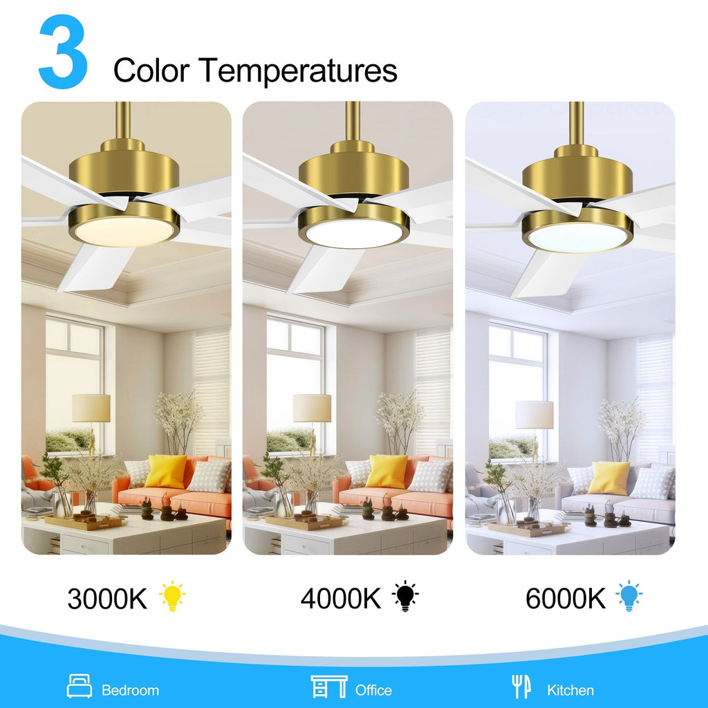 Breezary 65/52/42 5-Blade LED Ceiling Fan with Light Kit and Remote