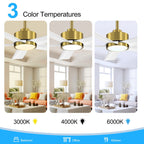 Breezary 65/52/42 5-Blade LED Ceiling Fan with Light Kit and Remote