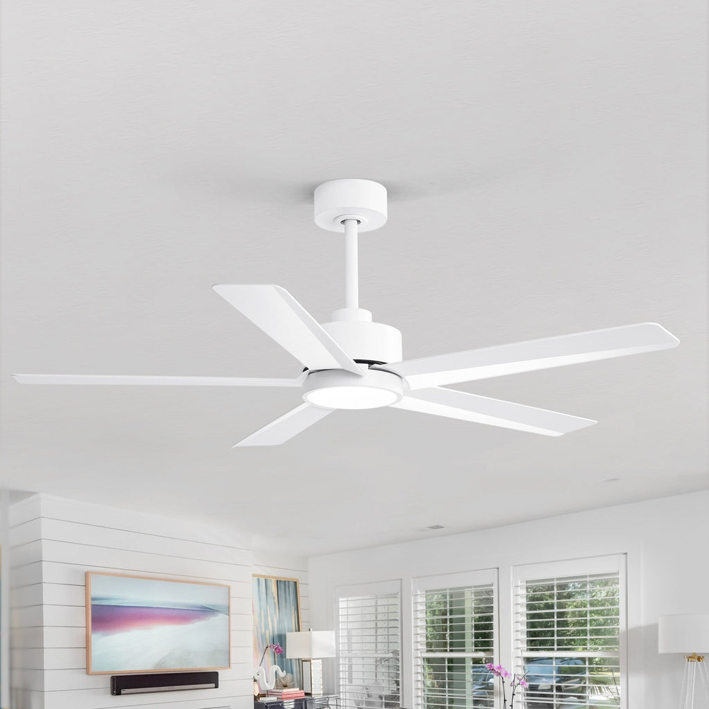 Breezary 65/52/42 5-Blade LED Ceiling Fan with Light Kit and Remote