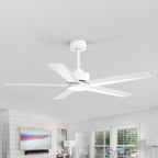 Breezary 65/52/42 5-Blade LED Ceiling Fan with Light Kit and Remote