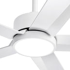 Breezary 65/52/42 5-Blade LED Ceiling Fan with Light Kit and Remote