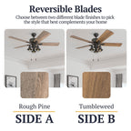 52 Prominence Home Sivan Bronze Farmhouse LED Ceiling Fan with Light, Remote Control