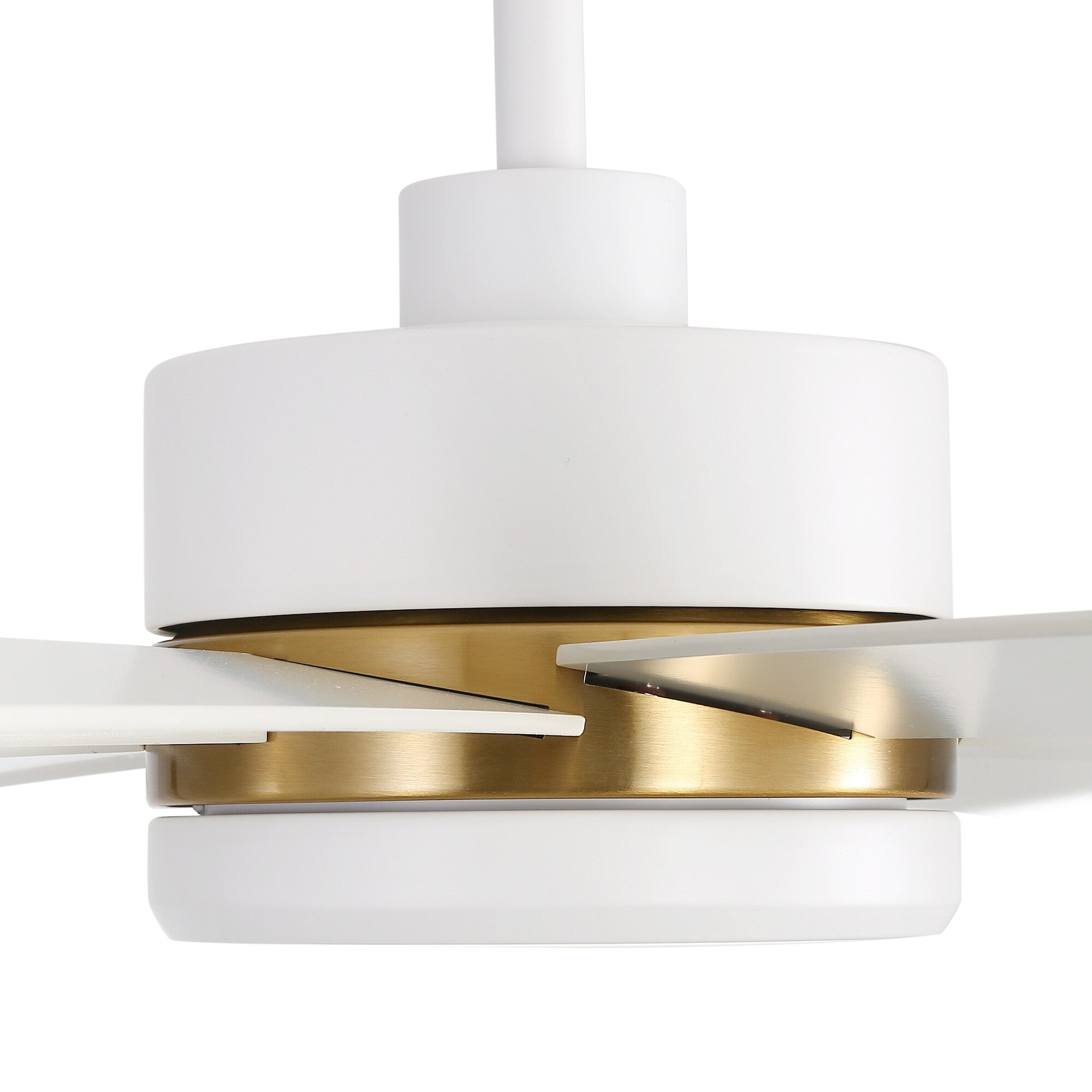 65 Inch 8-Blade Black LED Ceiling Fan with Light and Remote