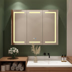 Bathroom Medicine Cabinet LED Mirror Anti-Fog 6000K Wall Cabinet White