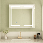 Bathroom Medicine Cabinet LED Mirror Anti-Fog 6000K Wall Cabinet White