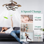 Cusp Barn 42 Retractable Ceiling Fan with Lights and Remote DIY Shape Fandelier Modern Silent DC Motor LED Ceiling Light