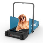 Dog Treadmill with LED Display