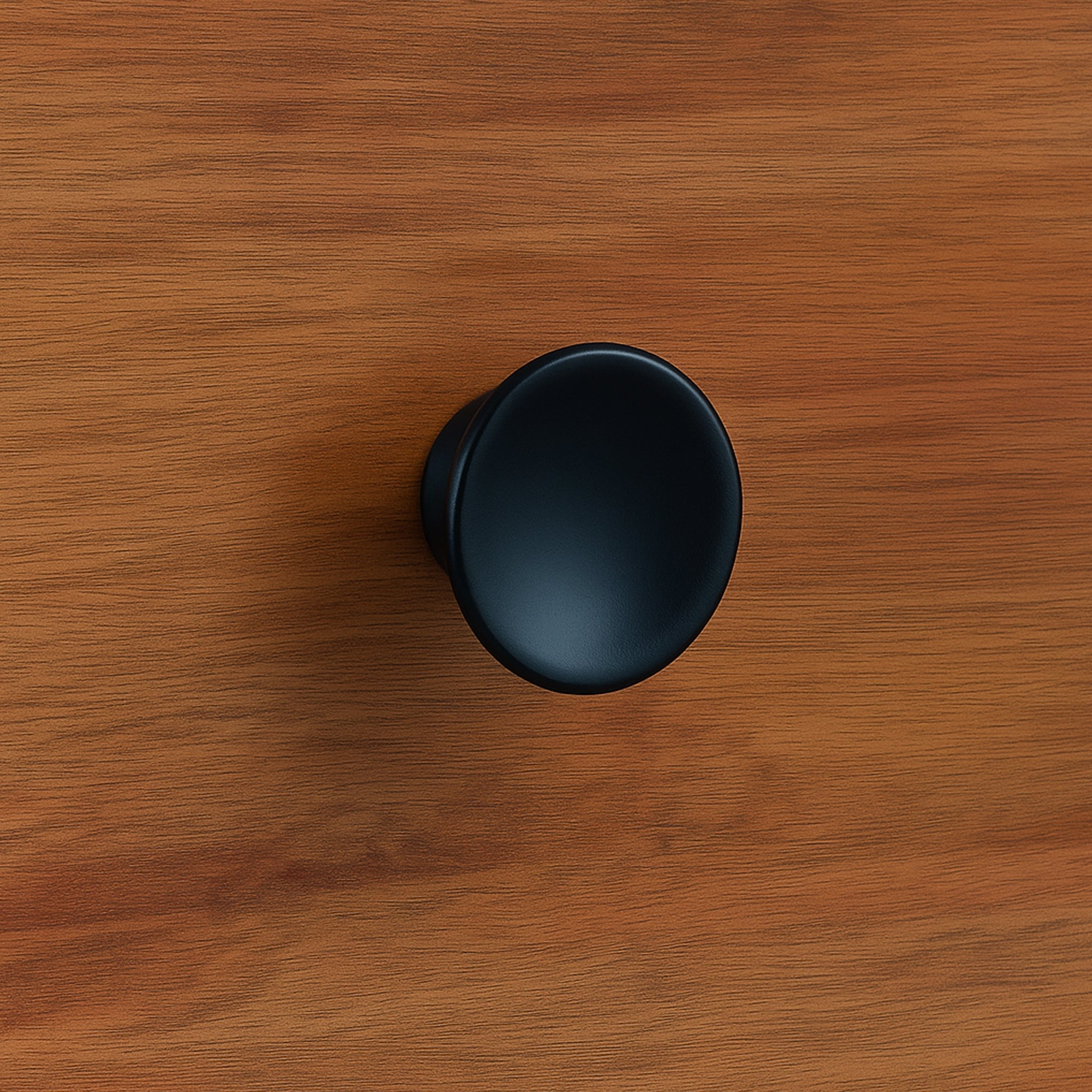 Armoire à 2 portes Dunstan Acacia