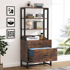 File Cabinet with 2 Drawer, Modern Filing Cabinet Printer Stand with Lock